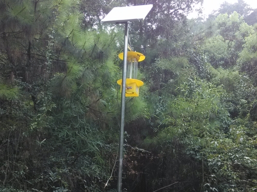 led太阳能杀虫灯