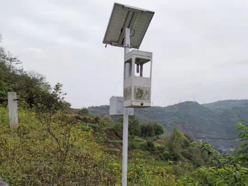 果园风吸式太阳能杀虫灯