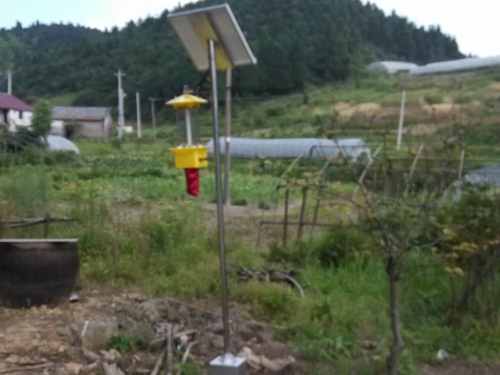 太阳能频振式杀虫灯的田间安装和使用方法