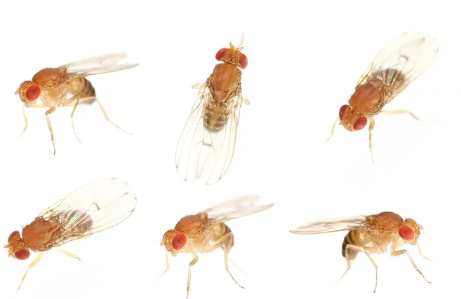 1763543425515734.png image.png