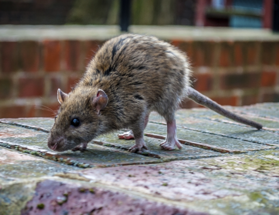 1768443837999628.png image.png