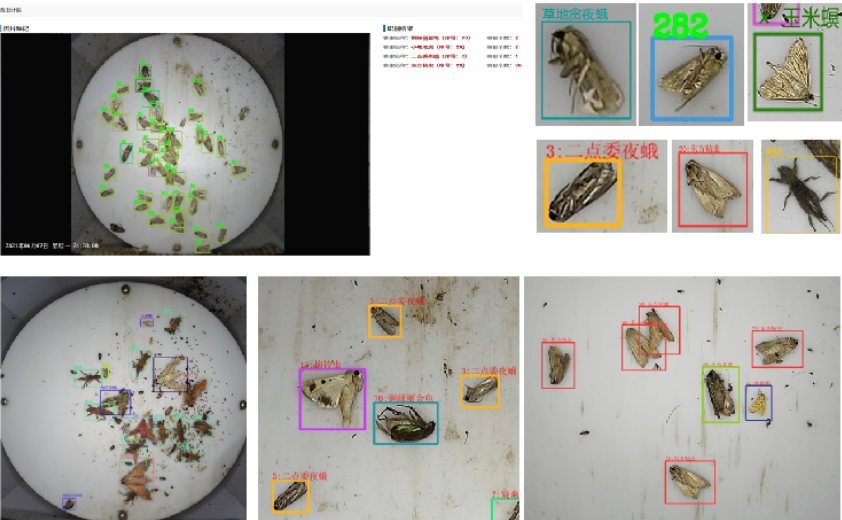 重磅!河南省农科院与云飞科技联合发布DeepSeek农业智能体