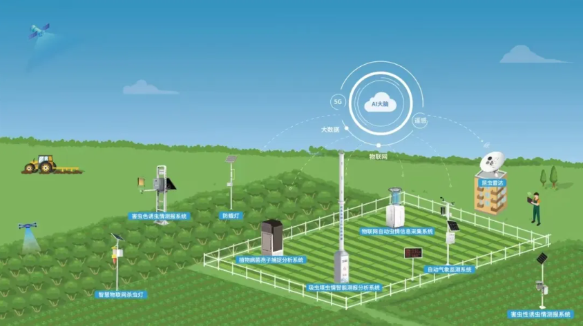 1772104908624615.jpg 3.jpg