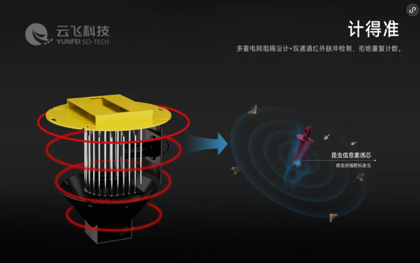 1772108602212032.jpg 2.jpg