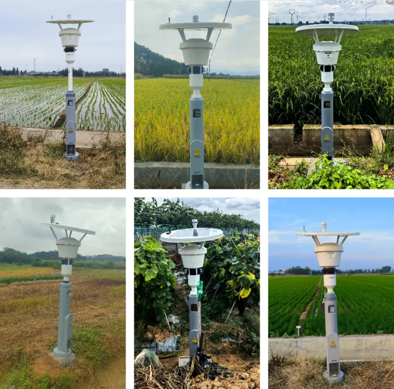 1772108682159656.jpg 3.jpg