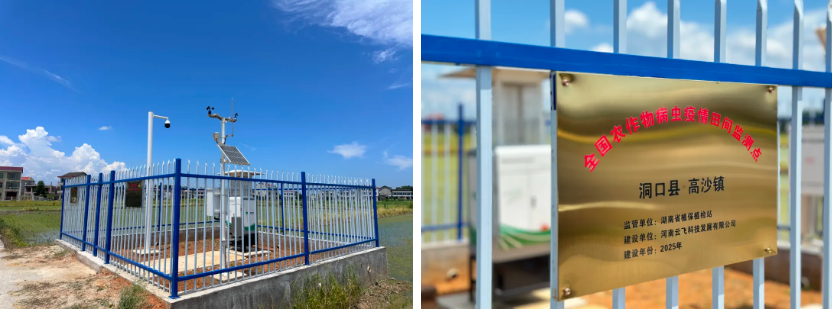 1772109834248424.jpg 2.jpg