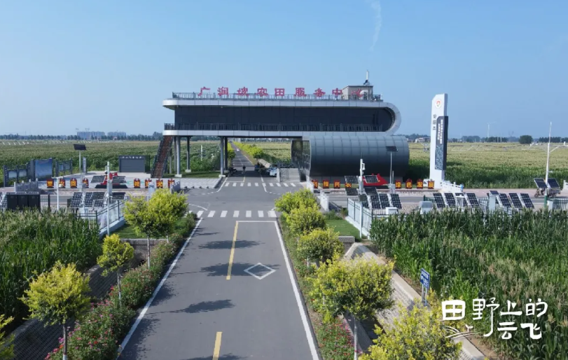 安阳广润坡高标准农田示范区：在万亩良田上，建一座数字粮仓