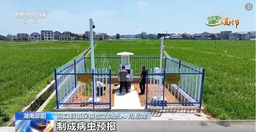 1772176819145809.jpg 3.jpg