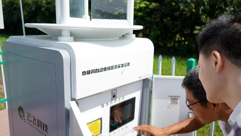 1772182087106905.jpg 2.jpg