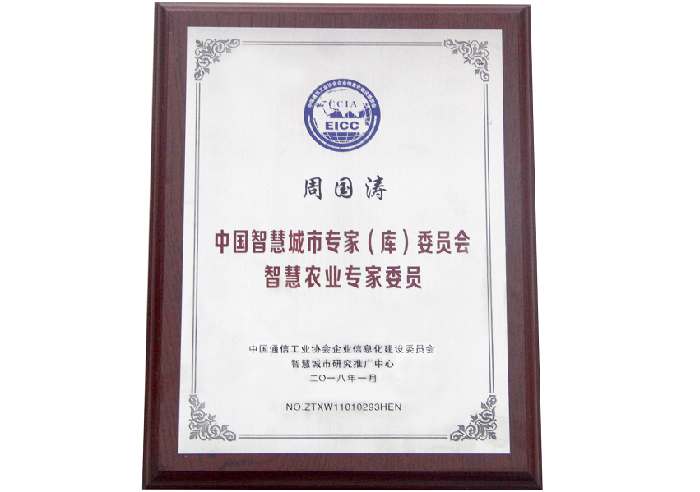 中国智慧城市专家（库）委员会证书