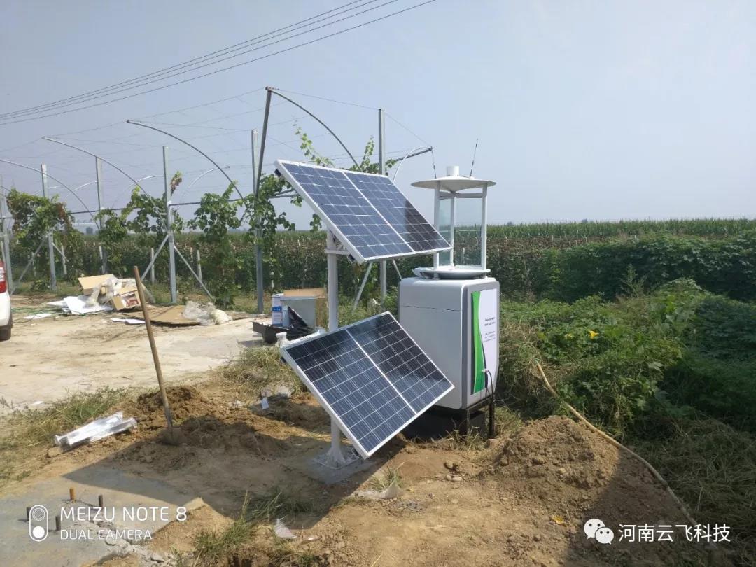 虫情测报灯为葡萄园虫害防治提供指导
