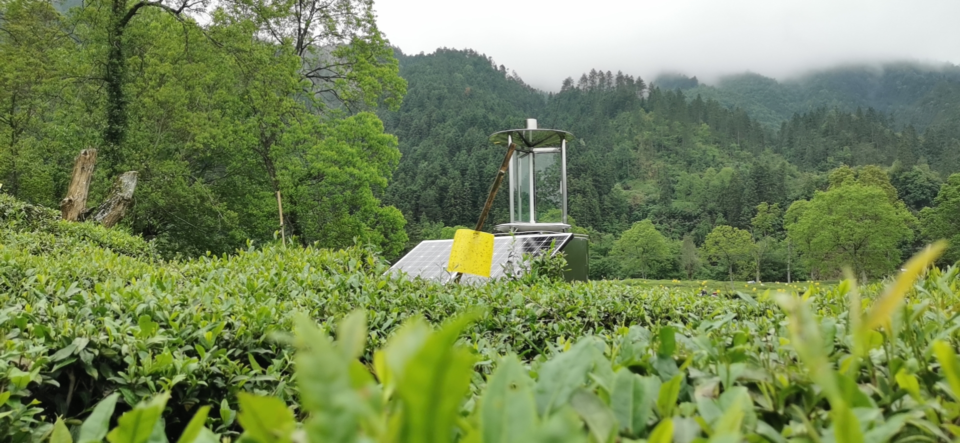 虫情信息采集系统