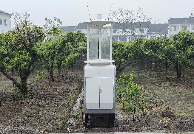 虫情测报灯助力茶园害虫防控