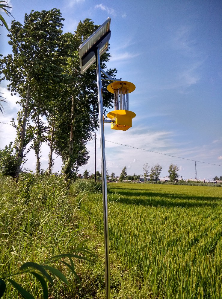 频振杀虫灯