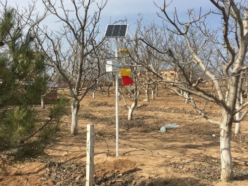 太阳能路灯杀虫灯