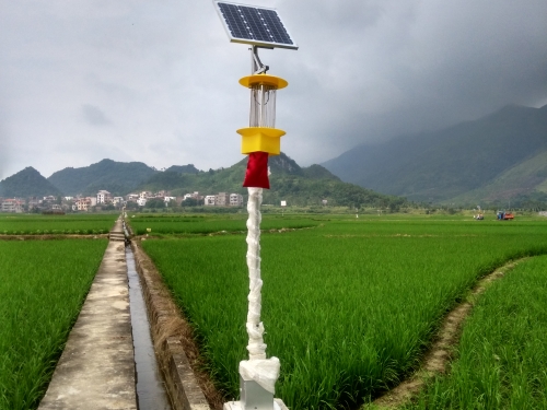 4米太阳能杀虫灯