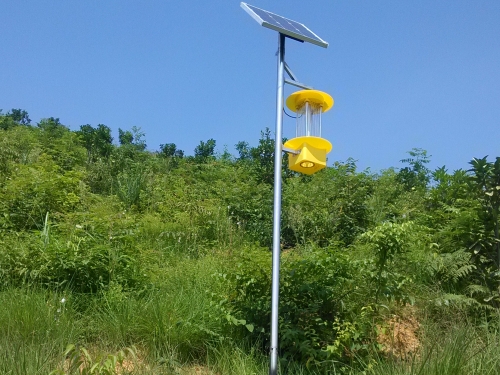 果园太阳能杀虫灯