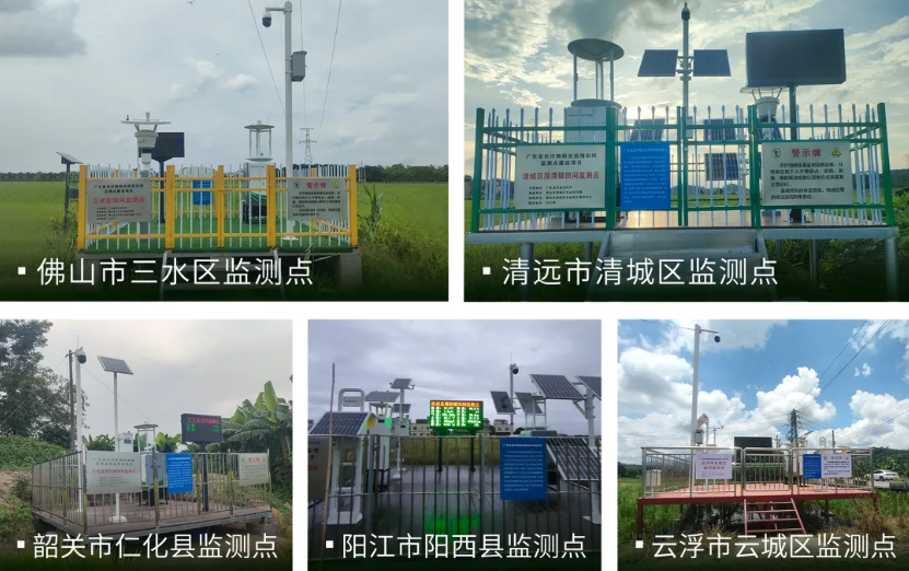 云飞科技承建广东五地病虫监测网络 5县15乡织就“数字防虫网”