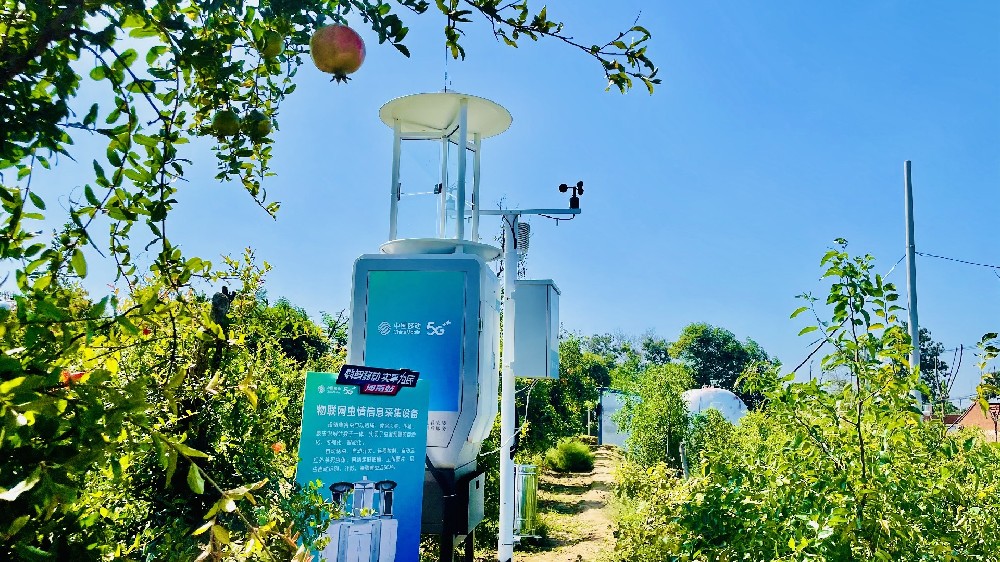 中国移动5G+智慧果园 种石榴有了“新科技”